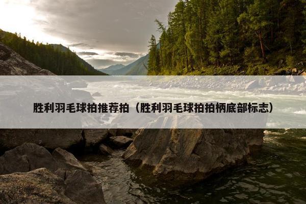 胜利羽毛球拍推荐拍（胜利羽毛球拍拍柄底部标志）