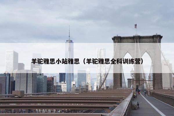 羊驼雅思小站雅思（羊驼雅思全科训练营）