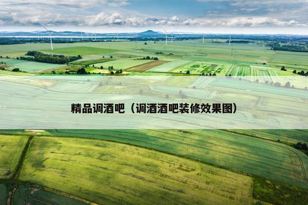 精品调酒吧（调酒酒吧装修效果图）