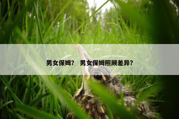 男女保姆？ 男女保姆照顾差异？