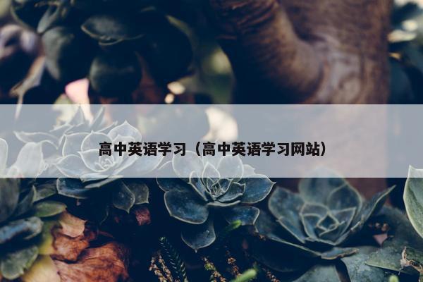 高中英语学习（高中英语学习网站）