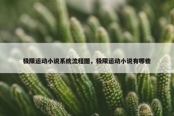 极限运动小说系统流程图，极限运动小说有哪些