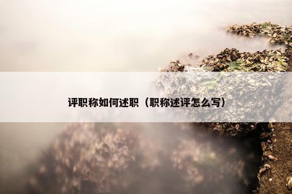 评职称如何述职（职称述评怎么写）