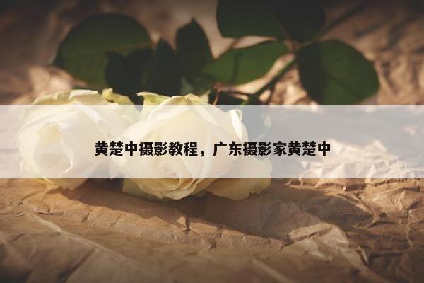 黄楚中摄影教程，广东摄影家黄楚中