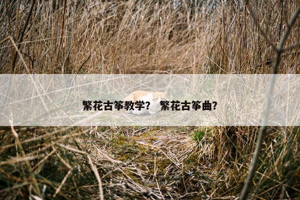 繁花古筝教学？ 繁花古筝曲？