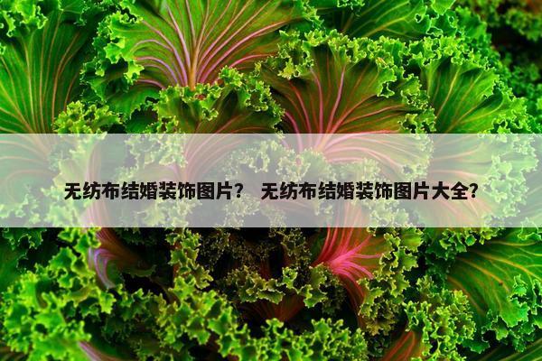 无纺布结婚装饰图片？ 无纺布结婚装饰图片大全？