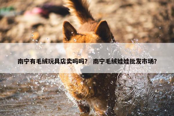 南宁有毛绒玩具店卖吗吗？ 南宁毛绒娃娃批发市场？