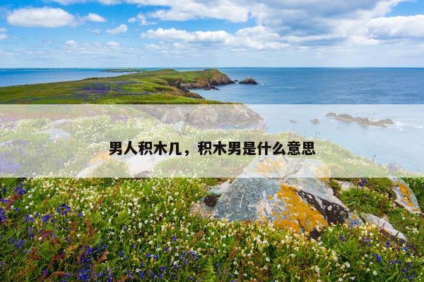 男人积木几，积木男是什么意思