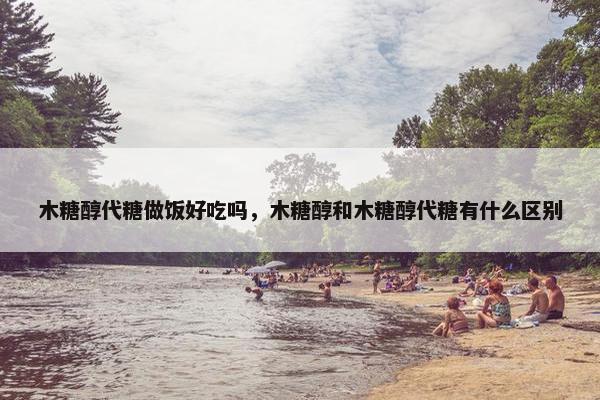 木糖醇代糖做饭好吃吗，木糖醇和木糖醇代糖有什么区别