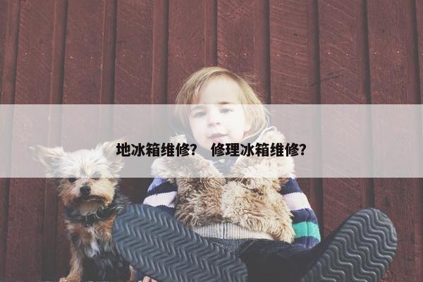 地冰箱维修？ 修理冰箱维修？