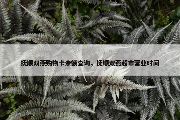 抚顺双燕购物卡余额查询，抚顺双燕超市营业时间