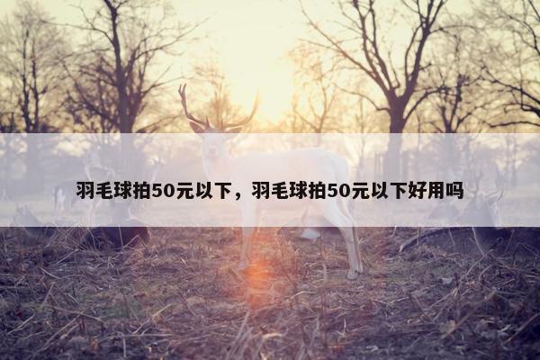 羽毛球拍50元以下，羽毛球拍50元以下好用吗