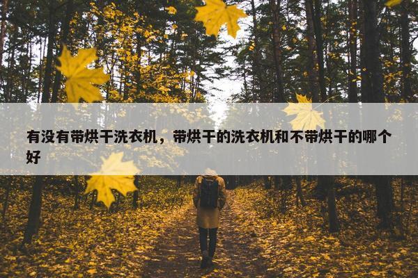 有没有带烘干洗衣机，带烘干的洗衣机和不带烘干的哪个好