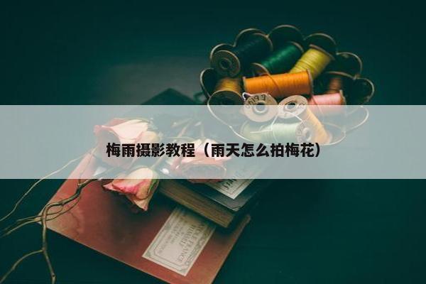 梅雨摄影教程（雨天怎么拍梅花）