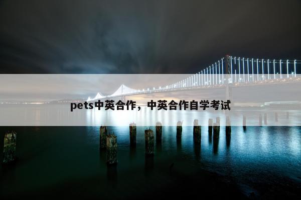 pets中英合作，中英合作自学考试