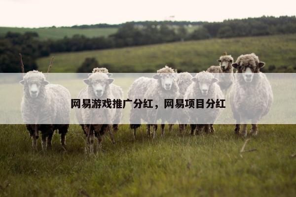 网易游戏推广分红，网易项目分红