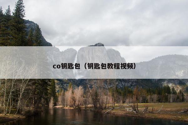 co钥匙包（钥匙包教程视频）