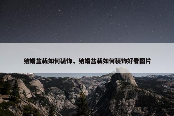结婚盆栽如何装饰，结婚盆栽如何装饰好看图片