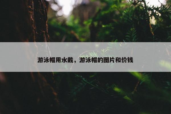 游泳帽用水戴，游泳帽的图片和价钱