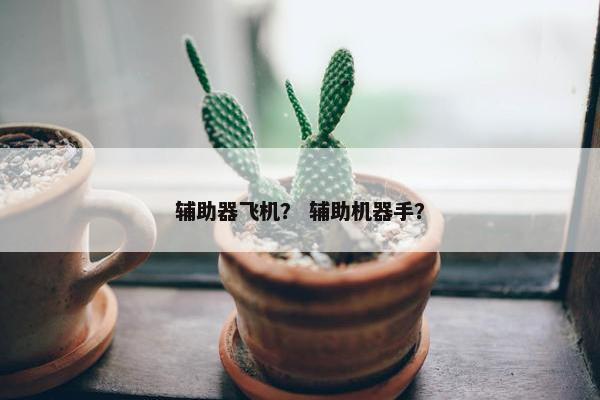 辅助器飞机？ 辅助机器手？
