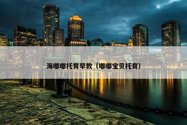 海嘟嘟托育早教（嘟嘟宝贝托育）