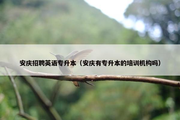 安庆招聘英语专升本（安庆有专升本的培训机构吗）