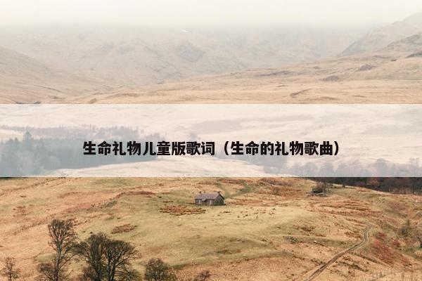 生命礼物儿童版歌词（生命的礼物歌曲）
