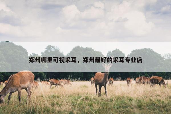 郑州哪里可视采耳，郑州最好的采耳专业店
