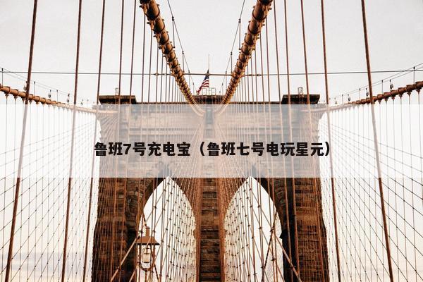 鲁班7号充电宝（鲁班七号电玩星元）