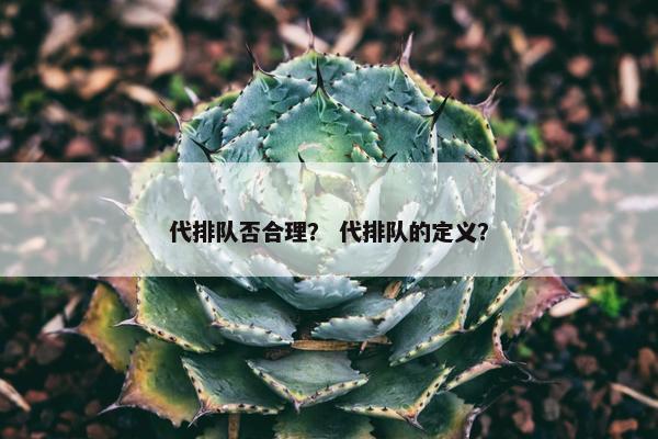 代排队否合理？ 代排队的定义？