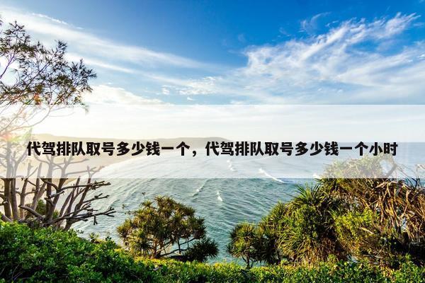 代驾排队取号多少钱一个，代驾排队取号多少钱一个小时