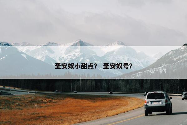 圣安奴小甜点？ 圣安奴号？