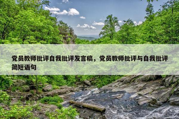 党员教师批评自我批评发言稿，党员教师批评与自我批评简短语句
