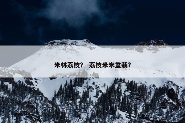 米林荔枝？ 荔枝米米盆栽？