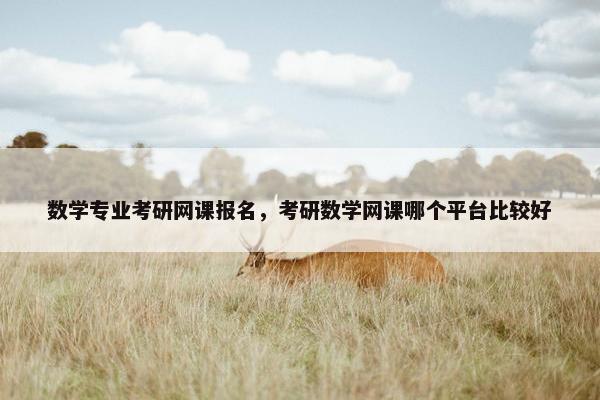 数学专业考研网课报名，考研数学网课哪个平台比较好