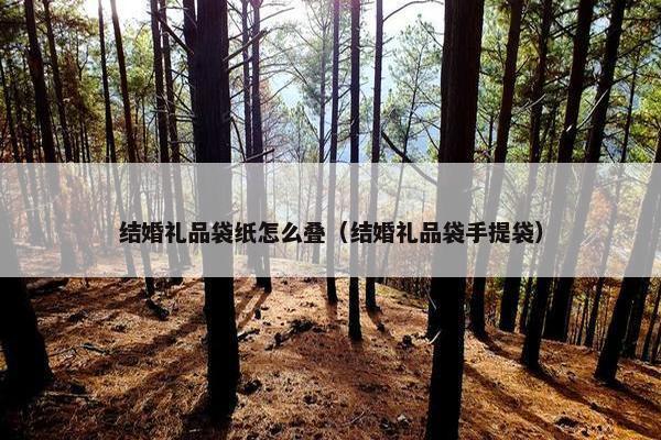 结婚礼品袋纸怎么叠（结婚礼品袋手提袋）