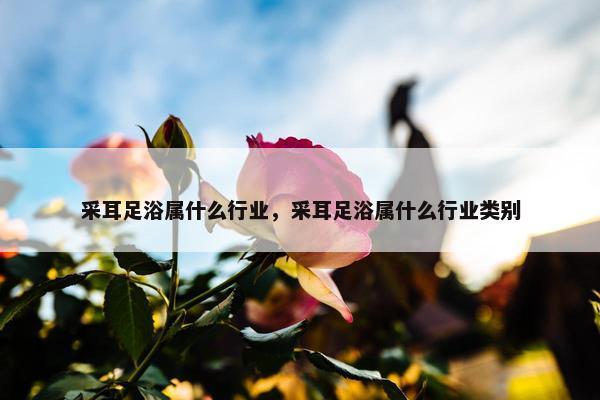 采耳足浴属什么行业，采耳足浴属什么行业类别
