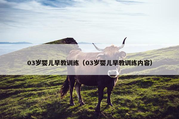 03岁婴儿早教训练（03岁婴儿早教训练内容）
