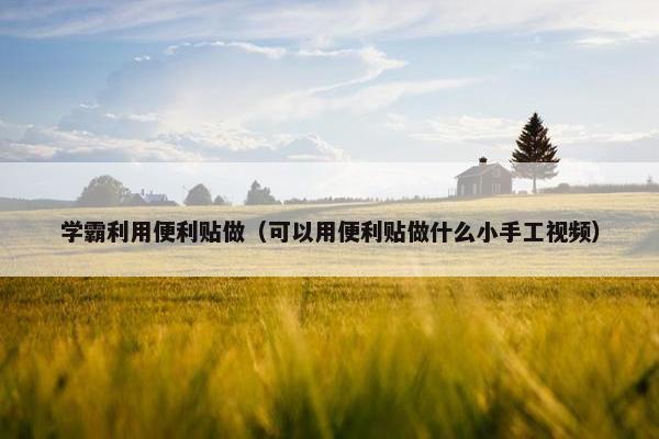 学霸利用便利贴做（可以用便利贴做什么小手工视频）