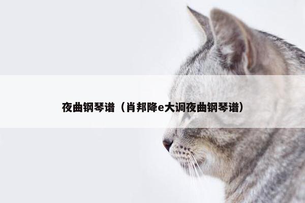 夜曲钢琴谱（肖邦降e大调夜曲钢琴谱）