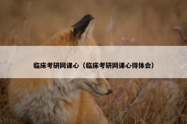 临床考研网课心（临床考研网课心得体会）