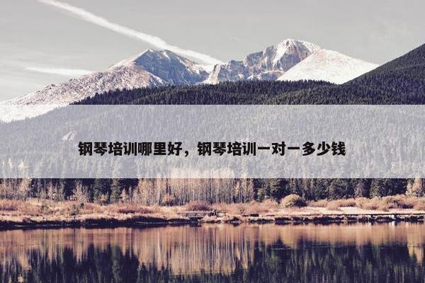 钢琴培训哪里好，钢琴培训一对一多少钱