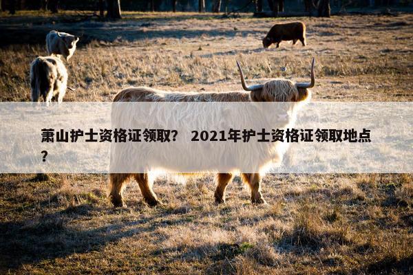 萧山护士资格证领取？ 2021年护士资格证领取地点？