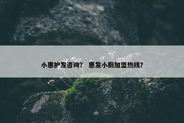 小惠护发咨询？ 惠发小厨加盟热线？