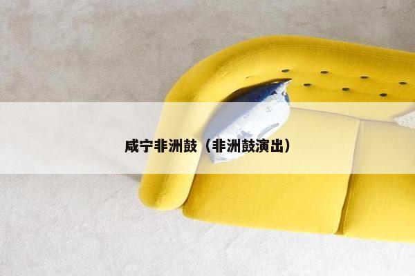 咸宁非洲鼓（非洲鼓演出）