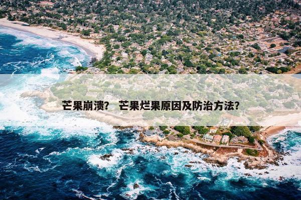芒果崩溃？ 芒果烂果原因及防治方法？