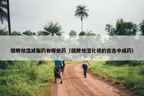 健脾祛湿减脂药有哪些药（健脾祛湿化痰的首选中成药）