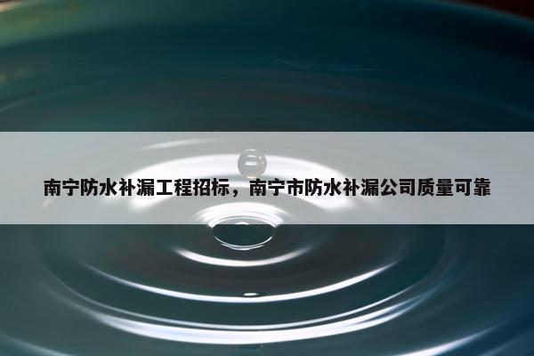 南宁防水补漏工程招标，南宁市防水补漏公司质量可靠