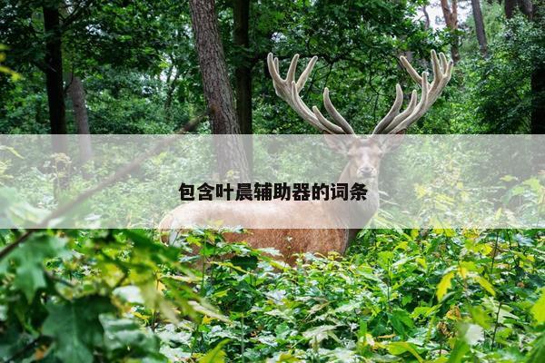 包含叶晨辅助器的词条