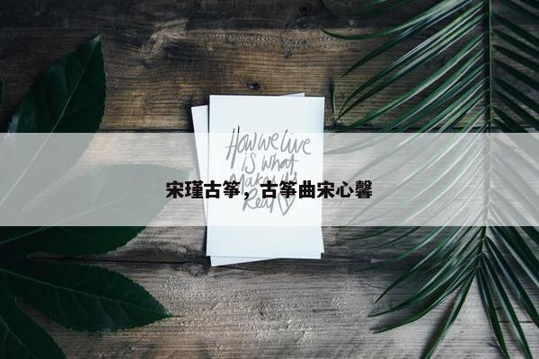 宋瑾古筝，古筝曲宋心馨